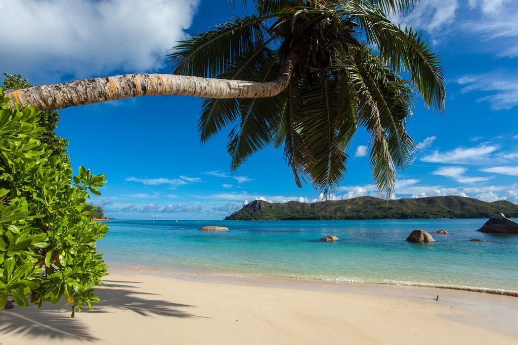 Jardin Marron Lägenhet Baie Sainte Anne Exteriör bild