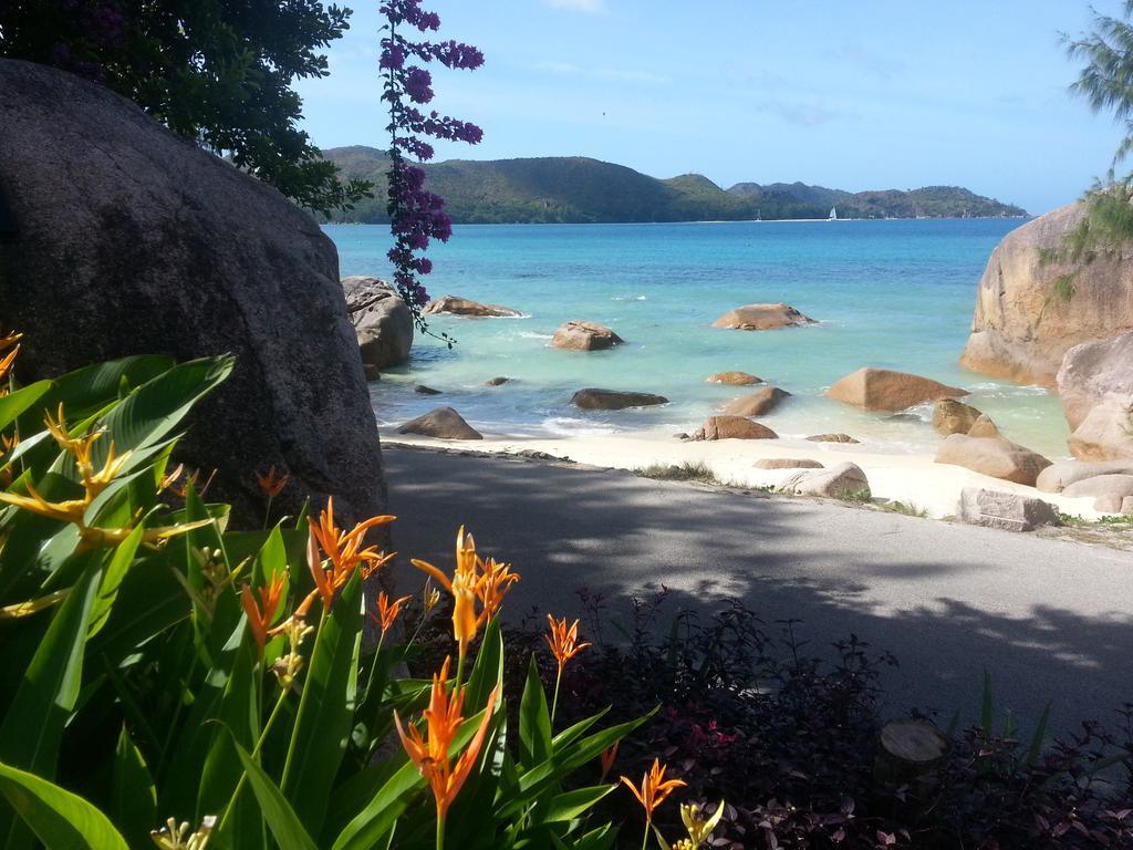 Jardin Marron Lägenhet Baie Sainte Anne Exteriör bild