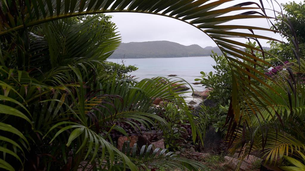 Jardin Marron Lägenhet Baie Sainte Anne Exteriör bild