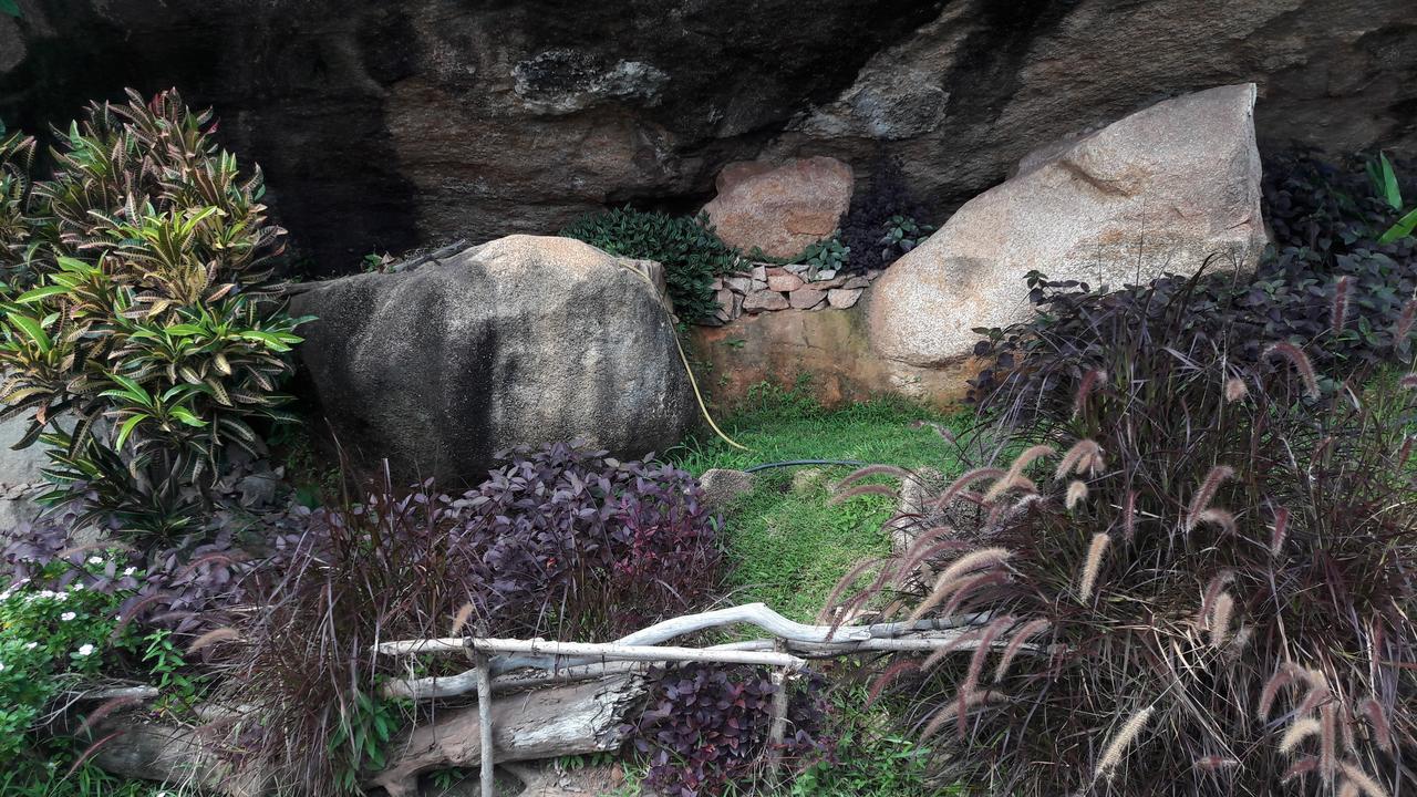 Jardin Marron Lägenhet Baie Sainte Anne Exteriör bild