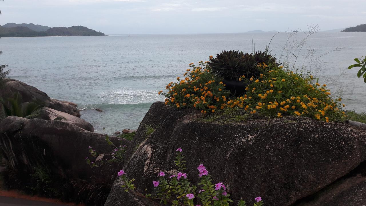 Jardin Marron Lägenhet Baie Sainte Anne Exteriör bild