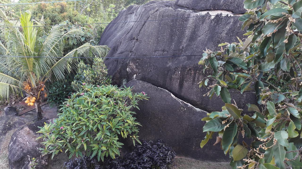 Jardin Marron Lägenhet Baie Sainte Anne Exteriör bild